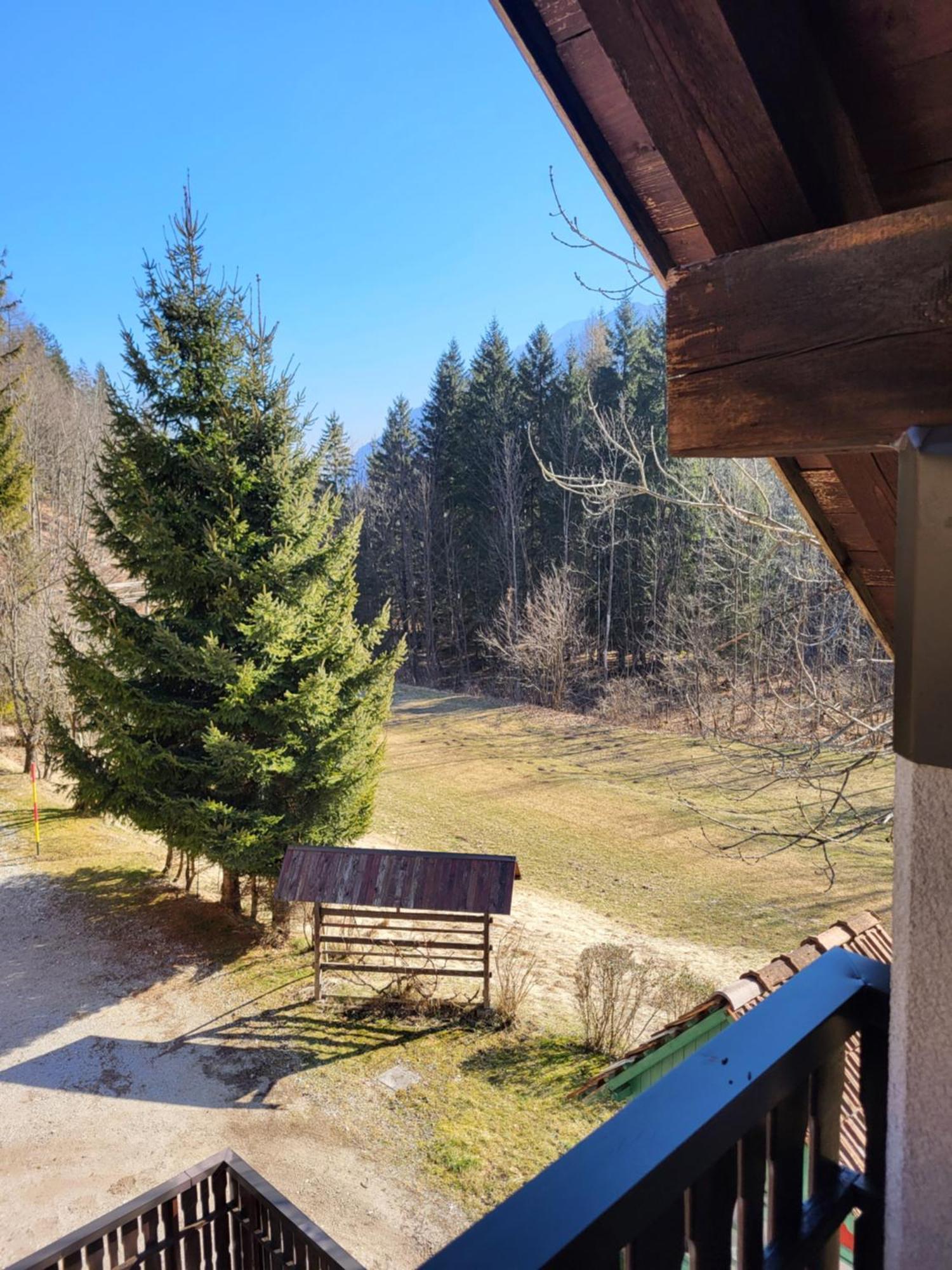 Apartment Dobnikar Kranjska Gora Kültér fotó