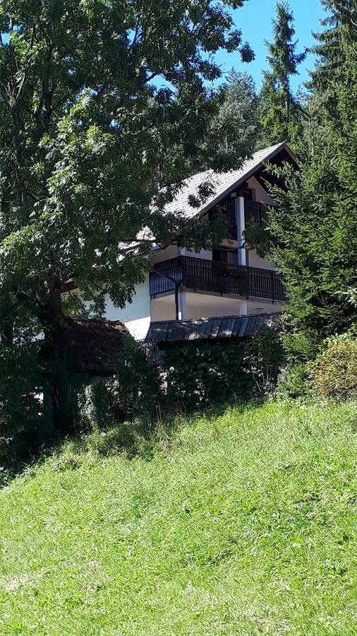 Apartment Dobnikar Kranjska Gora Kültér fotó